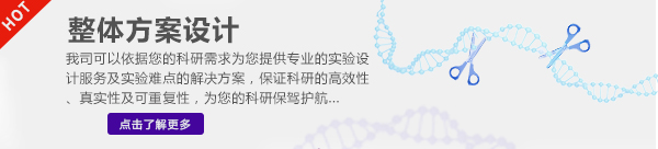 整體方案設(shè)計(jì)